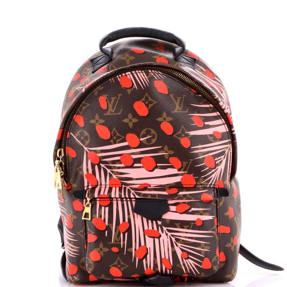Louis Vuitton Palm Springs Backpack #219183L18B